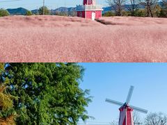 -羊亭河湿地公园