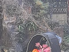 -上海虹桥宾馆(郁锦香品牌酒店)