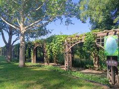 -北京张裕爱斐堡酒庄