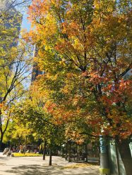 -大望京儿童游乐场