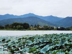 -长田漾湿地公园