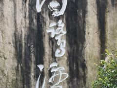 -白鹭湾湿地公园