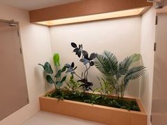 -龙格亲子游泳·水育早教运动中心(绿宝中心)
