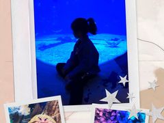 -烟台海昌鲸鲨海洋公园