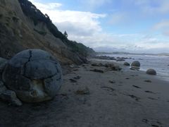 -摩拉基大圆石