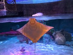 -沈阳海洋探索中心