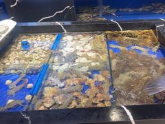 -皇朝海鲜酒店