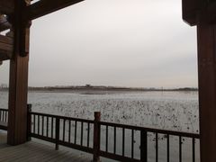 -天津东丽湖风景区