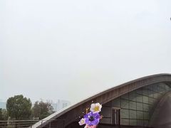 -合肥大剧院