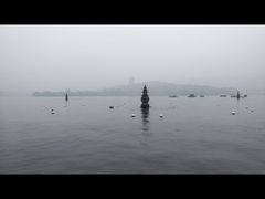 -西湖外事游船(花港观鱼码头)