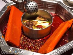 -蜀九香火锅(九眼桥店)