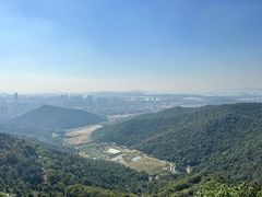 -惠山国家森林公园