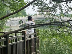 -东湖落雁景区