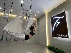 -Halo FLY运动空间