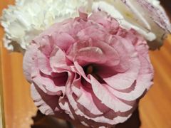 -缦云里花园餐厅
