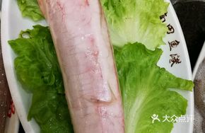 Large Hairtail Fish Gelatin