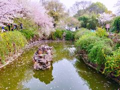 -苏州上方山国家森林公园