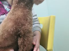 -宠福鑫康馨动物医院·骨科·眼科