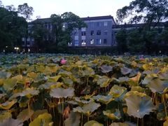 -四川大学(华西校区)