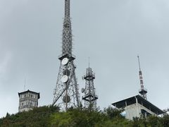 -武陵山森林公园