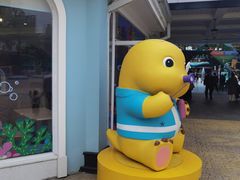 -海合安成都极地海洋公园
