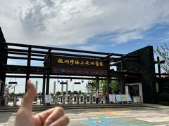 -杭州湾海上花田景区