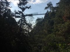 -遂昌金矿国家矿山公园