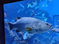 -南昌融创海世界