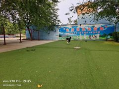 -宠物寄养训练学校
