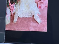 -海马体照相馆(万菱汇店)