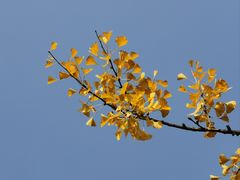 -重庆中央公园(渝北区)
