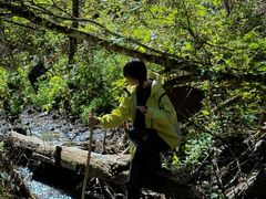 -峡谷浮石林景区