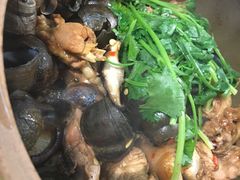 -食爺炭炉鸡煲·烧烤