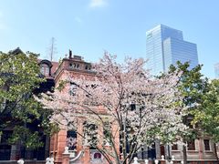-华山263老字号品牌馆