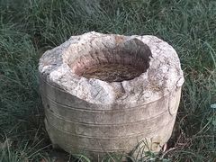 -北极阁公园