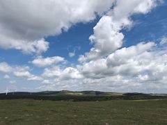 -御道口草原森林风景区