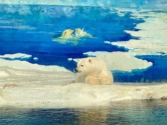 -海合安天津极地海洋公园
