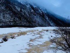 -黄龙山原始森林景区