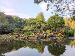 -杭州植物园