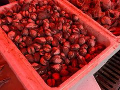 -芦潮港集贸市场