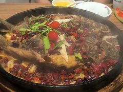 -老板恋上鱼(恒隆广场店)