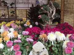 -共青国家森林公园-售票处