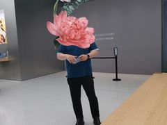 -Apple零售店(新街口店)