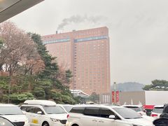 -新罗免税店(首尔总店)