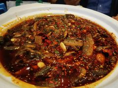 情妹耙泥鳅-情妹耙泥鳅·江湖川菜(科华店)