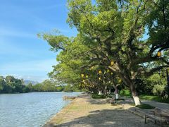 -江心屿景区