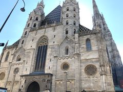 -斯蒂芬主教座堂(Stephansdom)