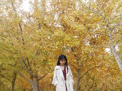 -千年银杏谷文化旅游区