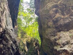 -牛背梁国家森林公园