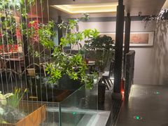 -杏花村水席楼·洛阳水席(老城十字街店)